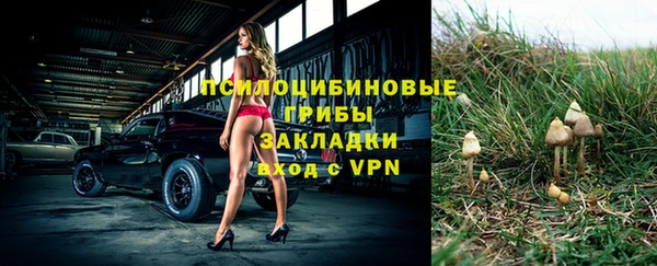 шишки Богородицк