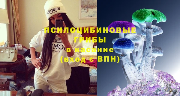 шишки Богородицк