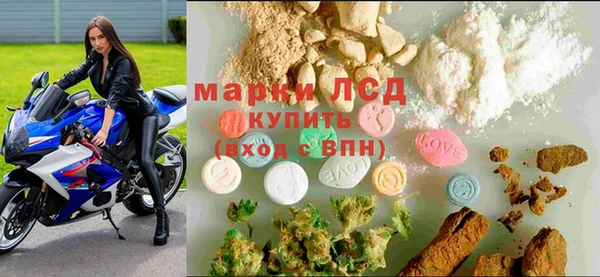 шишки Богородицк