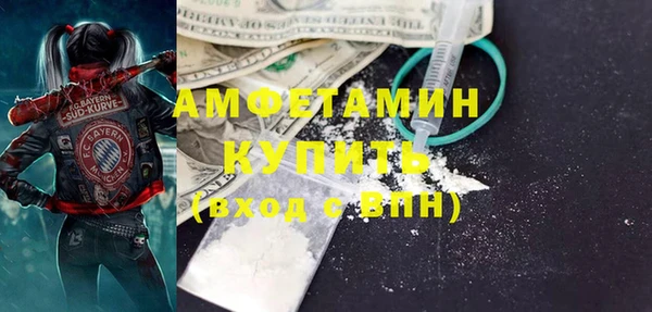 шишки Богородицк