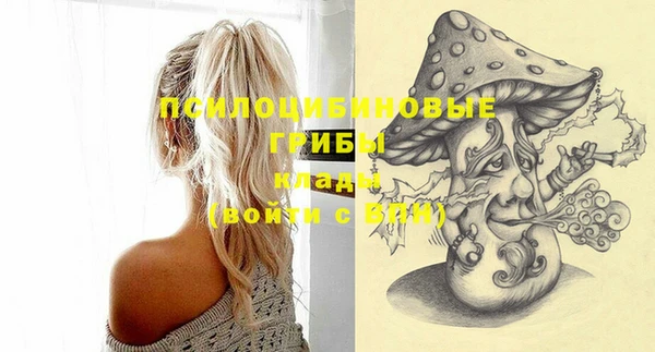 шишки Богородицк