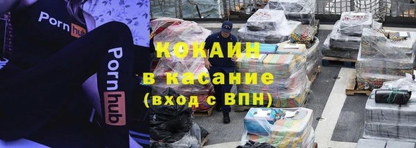 шишки Богородицк