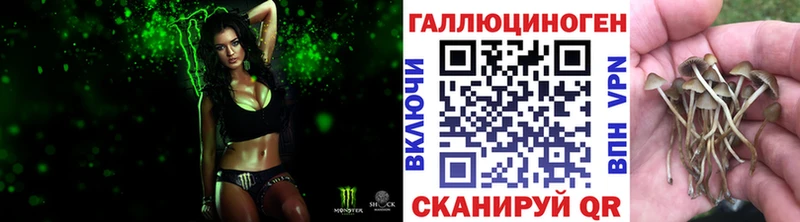 Псилоцибиновые грибы прущие грибы  Благовещенск 